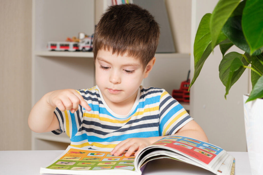 A preschool age boy looking at pictures in a book.